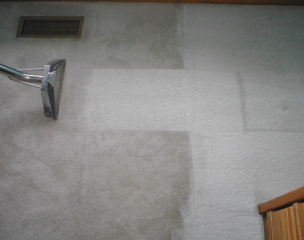 Carpet-Cleaning-in-Clayton