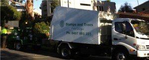 Tree Removal Melbourne