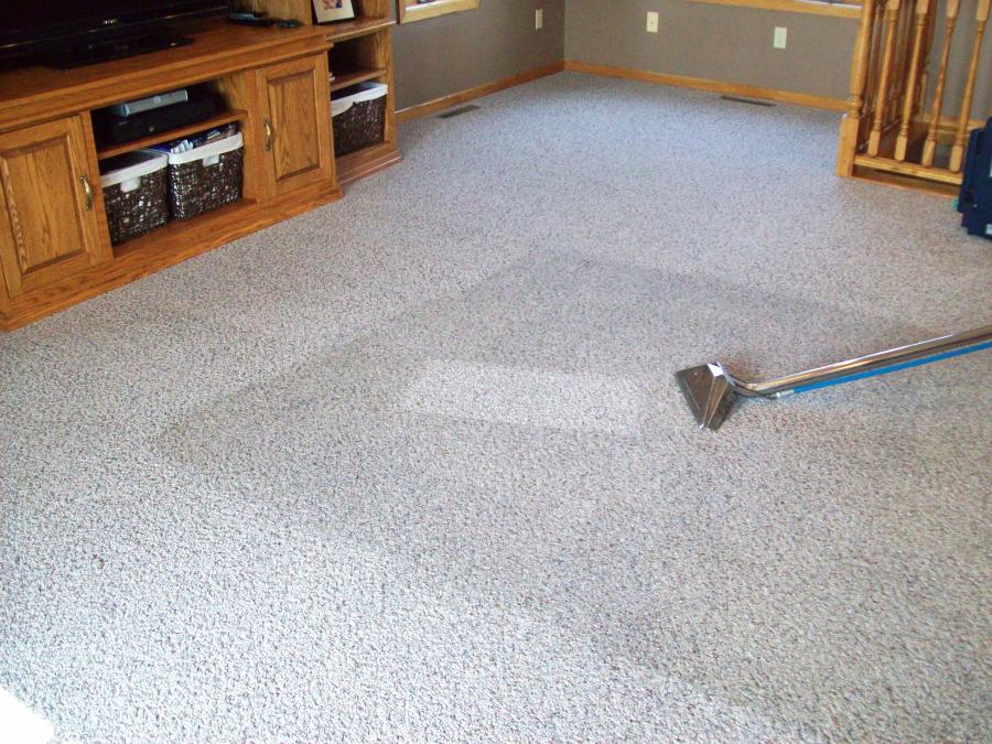 carpet cleaning diamond creek