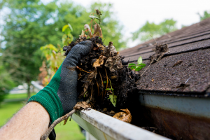 Local Gutters Adelaide