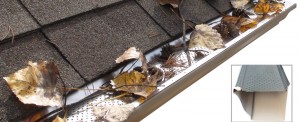 Gutter Replacement Services Adelaide