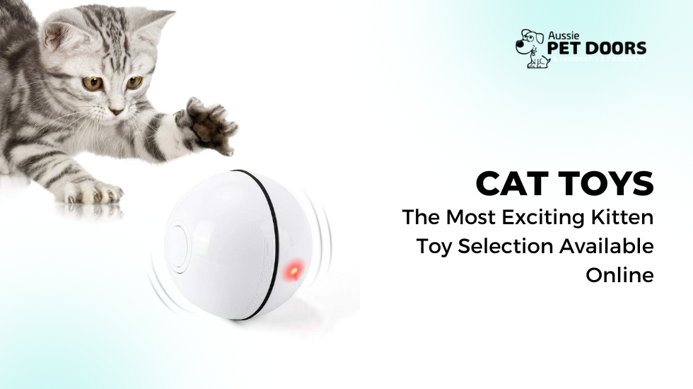 Cat Toys