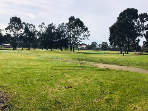 Best Golf Club Geelong