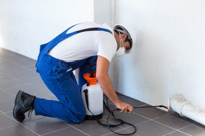 best pest control Brisbane